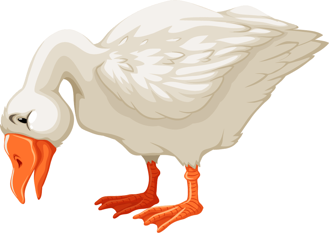 goose set different birds cartoon style isolated white background