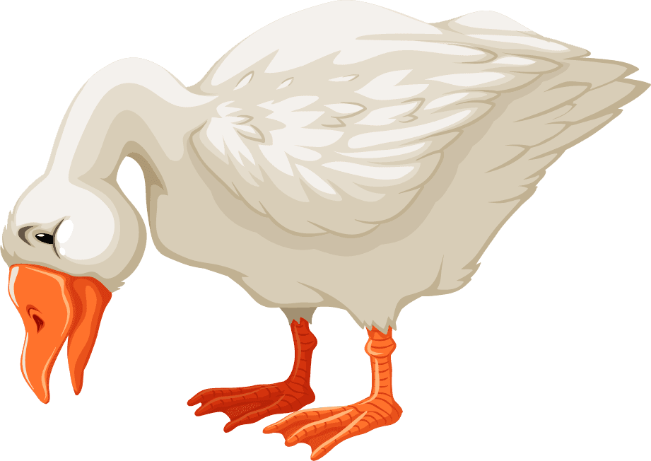 goose set diffrent birds cartoon style isolated white background