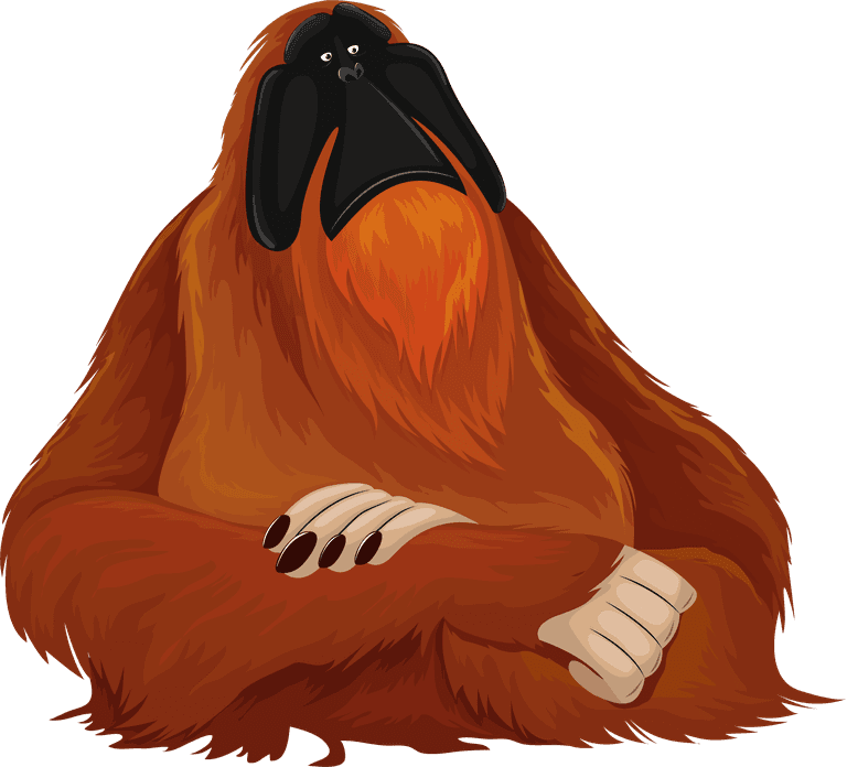 gorillas primate species icons colored cartoon sketch