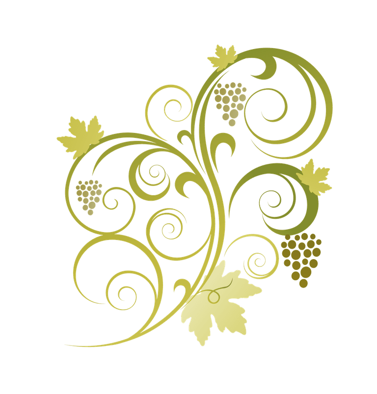 grape bunch pattern abstract floral vine grape ornament vector