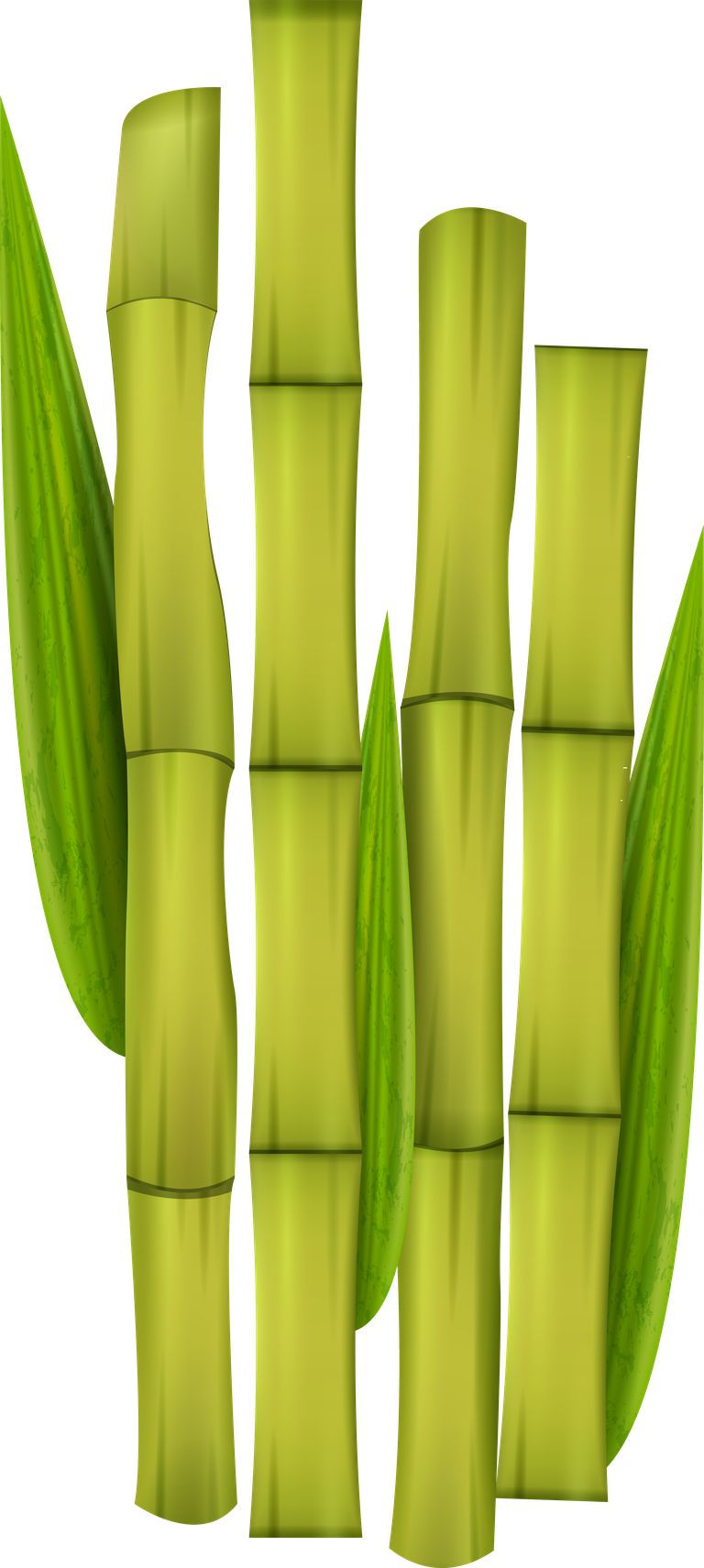 green bamboo decorative elements for eco-friendly home decor and nature-inspired designs