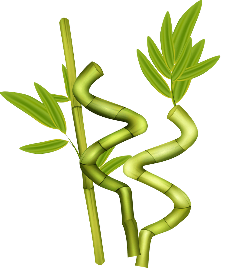 green bamboo decorative elements for enhancing nature-inspired home interiors and artwork