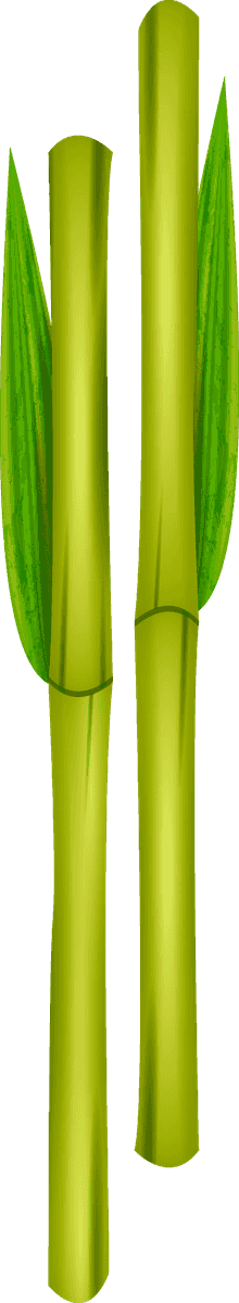 green bamboo decorative elements for eco-friendly home accents and creative projects