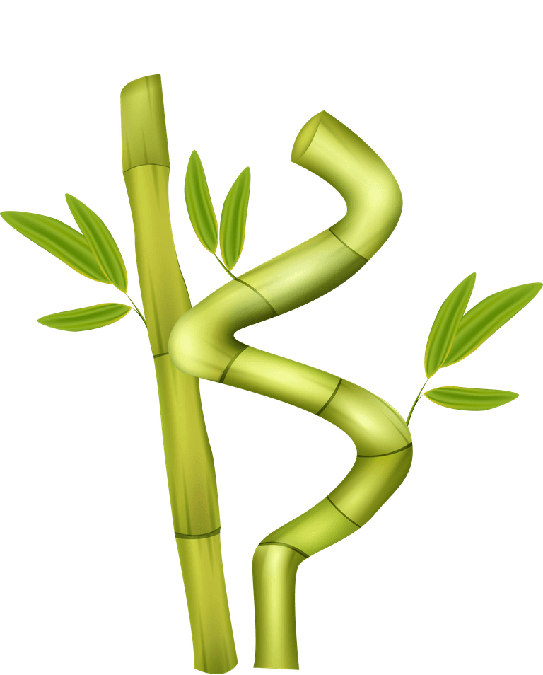 green bamboo decorative elements for eco-friendly interior styling and nature-inspired themes