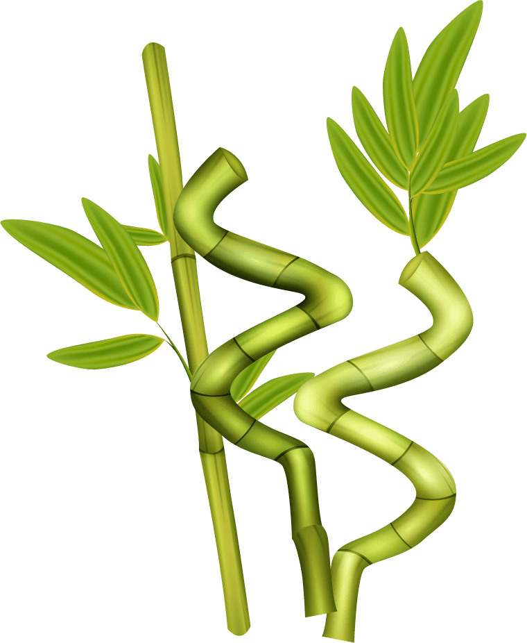 green bamboo decorative elements for home decor and nature-inspired aesthetics