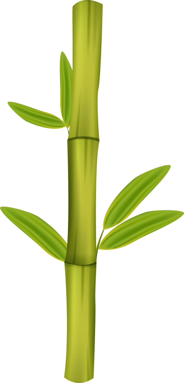 green bamboo decorative elements for home decor and sustainable design inspiration