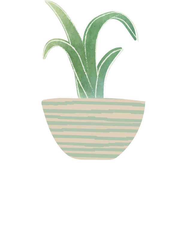 green botany cactus collection vector