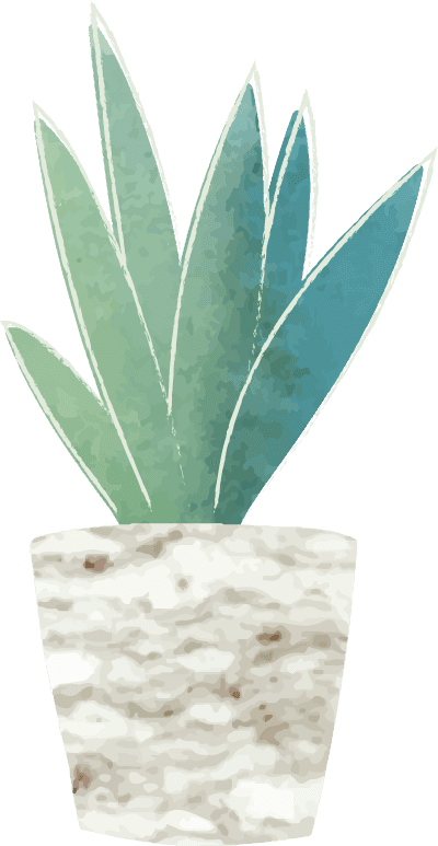 green botany cactus collection vector