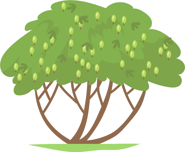 green fruit trees and berry bushes flat set for web 