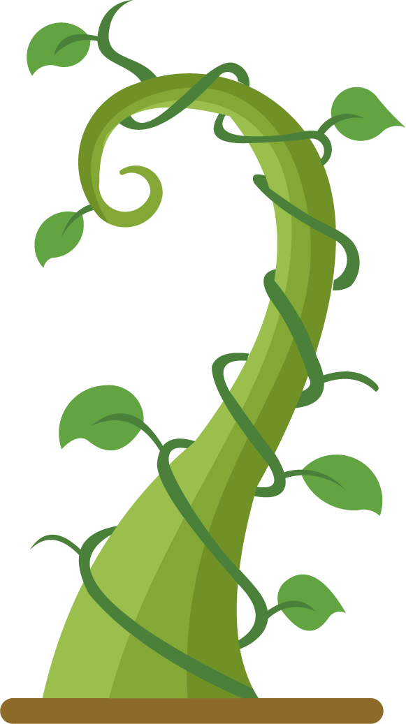 green growing plant beanstalk curls upward for nature-inspired themes and decorative use