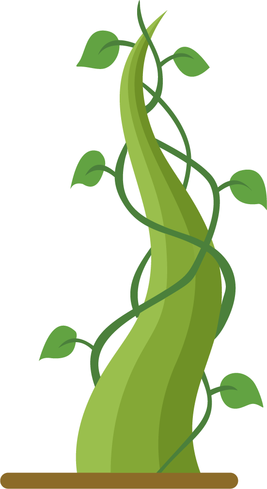 green growing plant beanstalk climbing upwards with lush leaves for nature themes