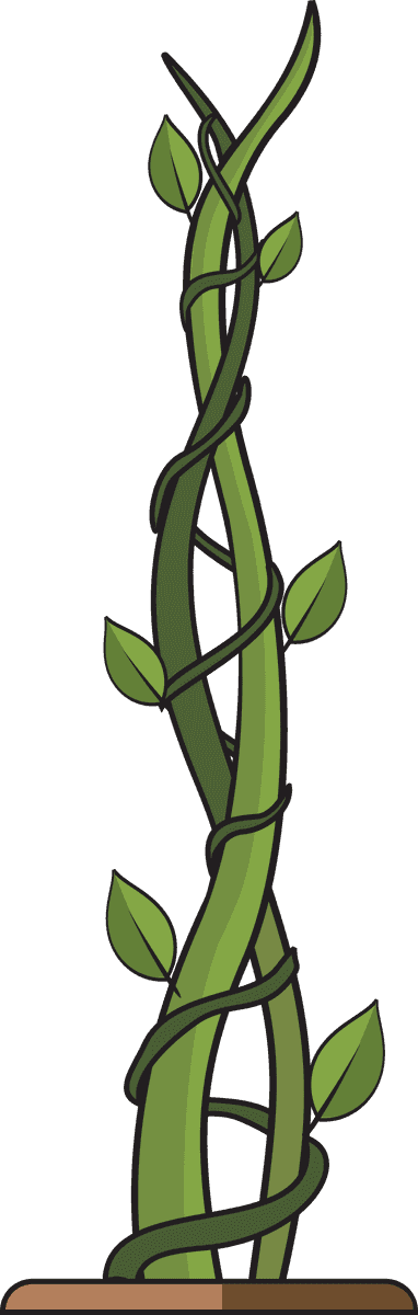 green growing plant beanstalk with twisting vines and vibrant leaves for eco-friendly decor