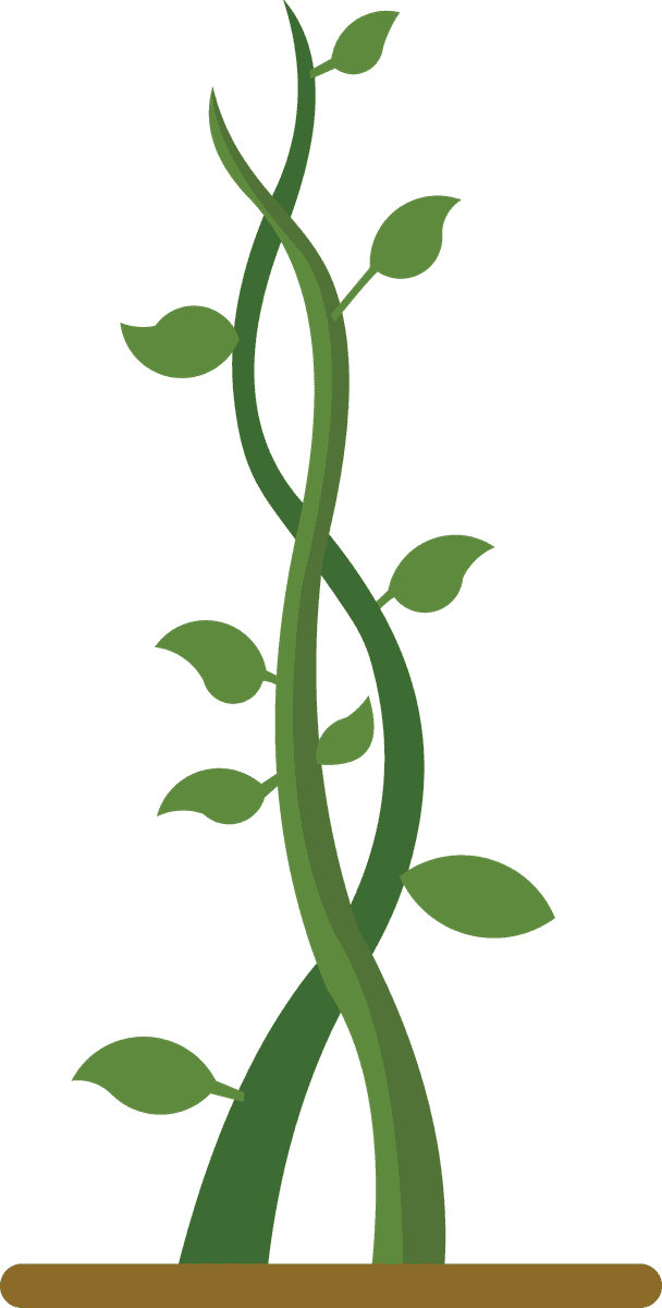 green growing plant beanstalk illustration for eco-friendly projects and nature themes