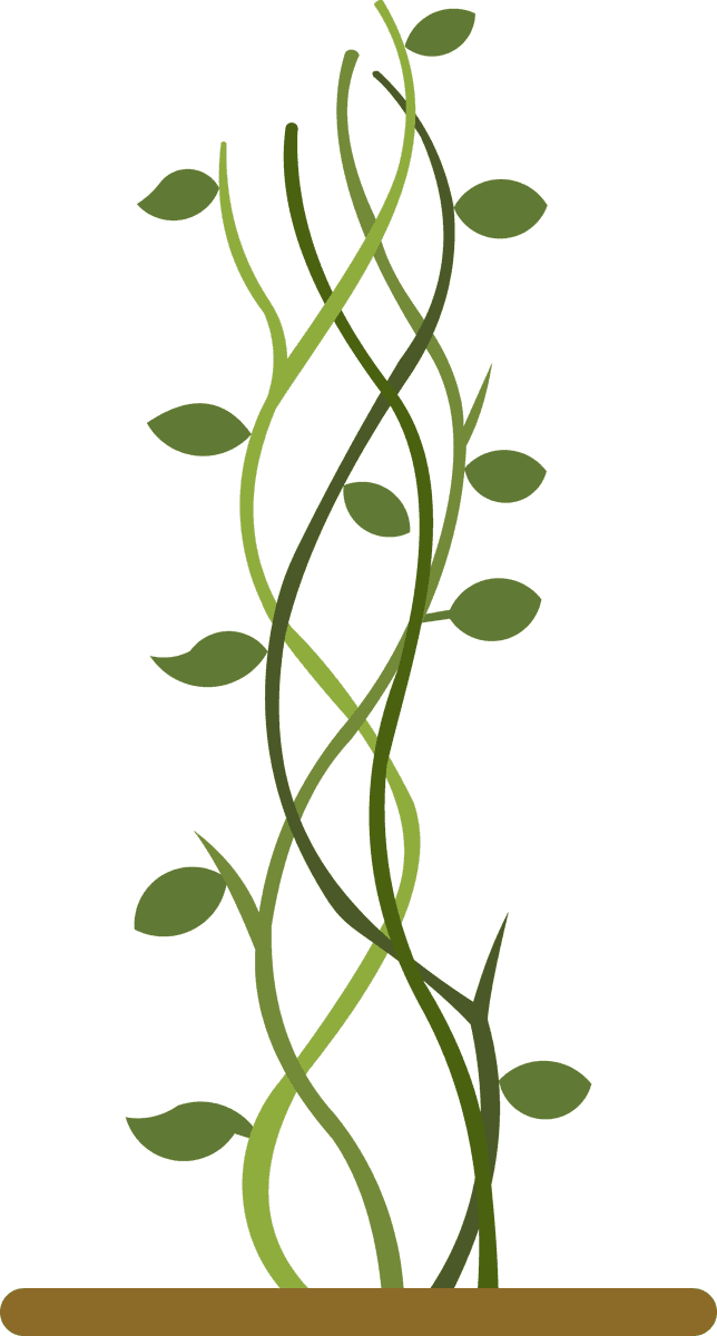 green growing plant beanstalk illustration for nature theme and eco-friendly projects