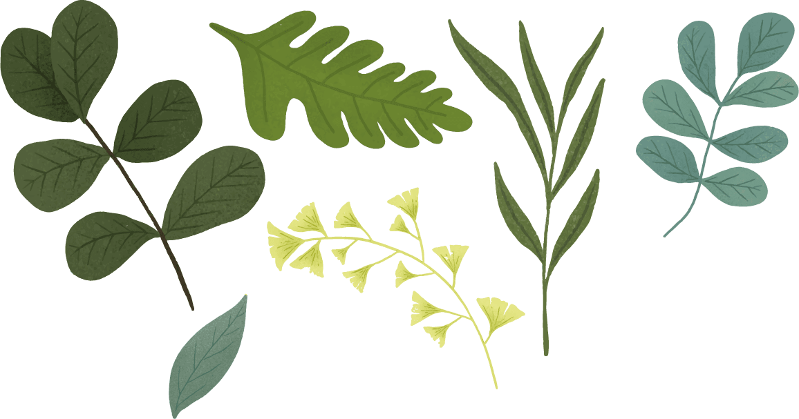 green leaf element set beige background vector