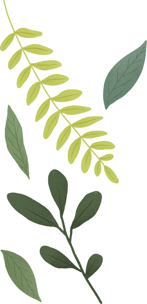 green leaf element set beige background vector