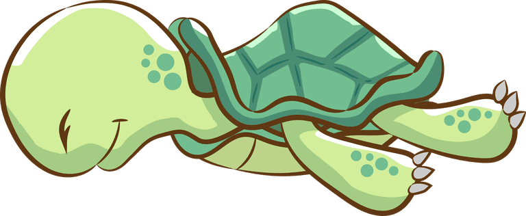 green turtle cartoon turtles isolated on white background