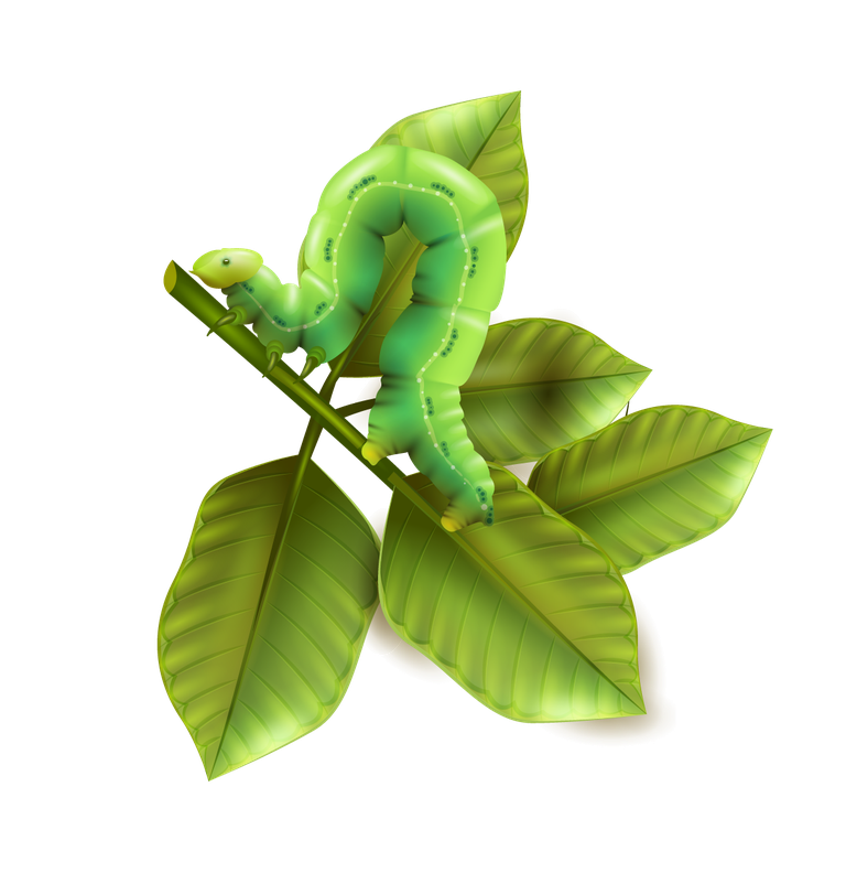 green worm pest control icons set
