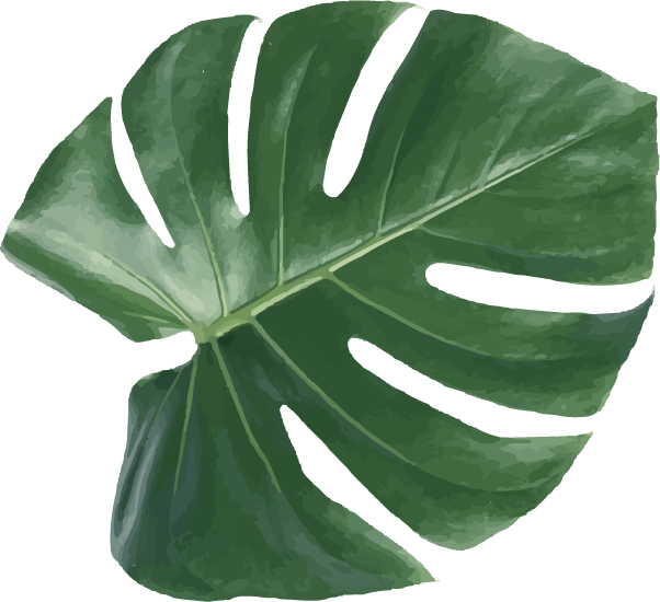 vibrant green tropical leaf element for botanical and nature themes