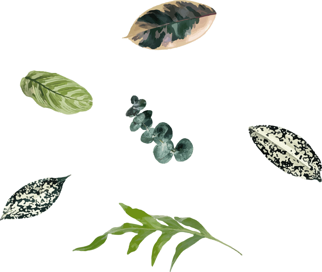 gren tropical leaf element plans and trees