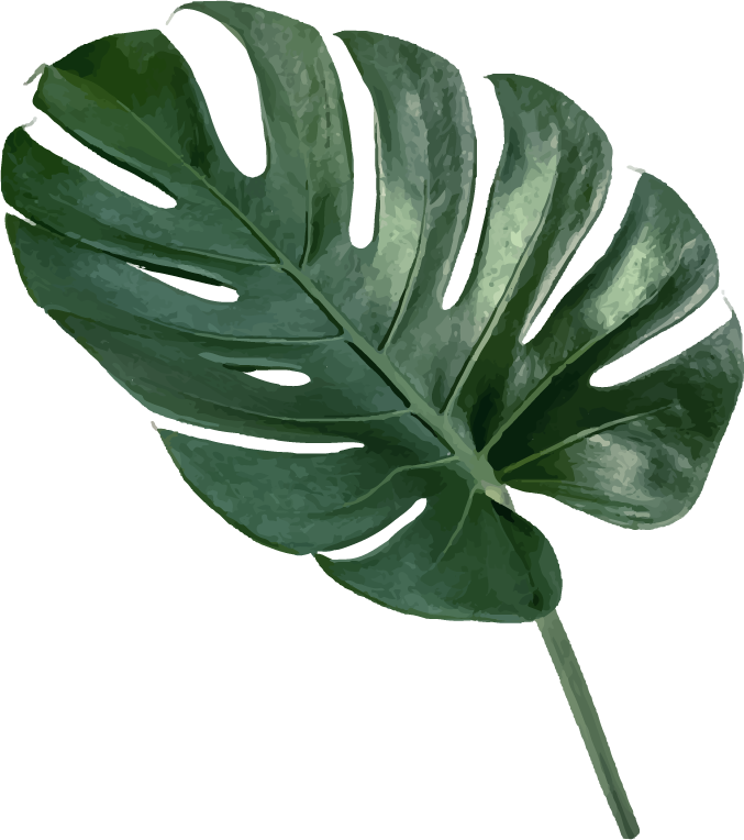 premium green tropical leaf element set for decor and nature-themed projects