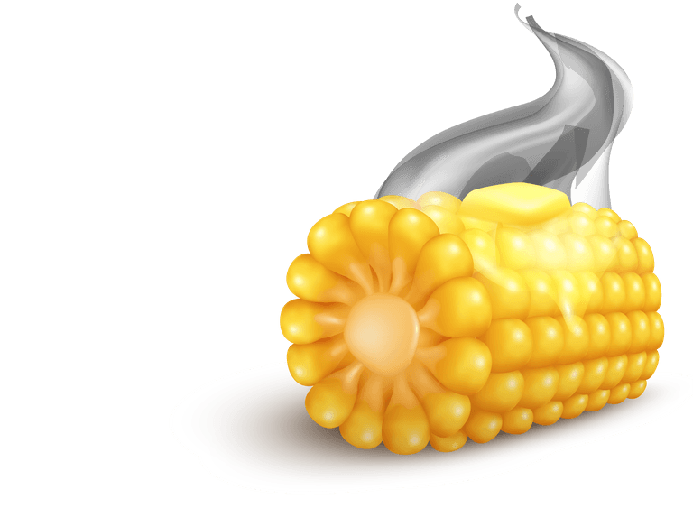 grilled corn realistic corn transparent set