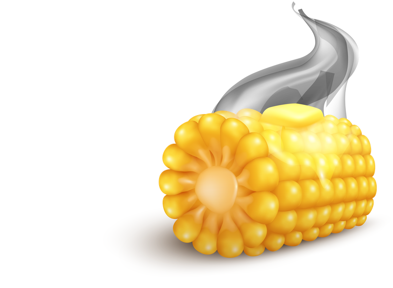 grilled corn realistic corn transparent set