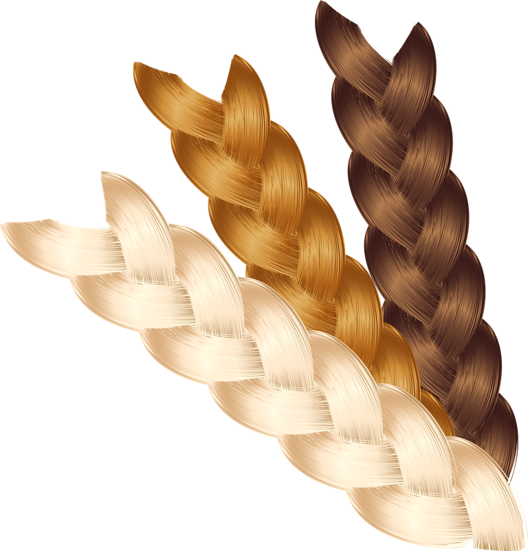 hairdressing tools hair theme vector for creative hairstyles and salon branding visuals