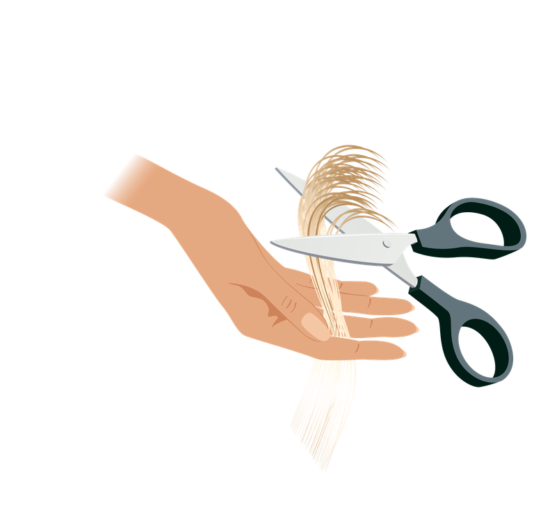 hairdressing tools hair theme vector with scissors and hair in a minimalist style