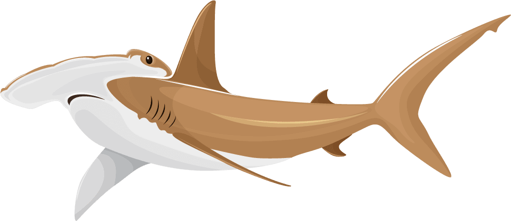 hammerhead sharks sharks icons motion sketch cartoon 
