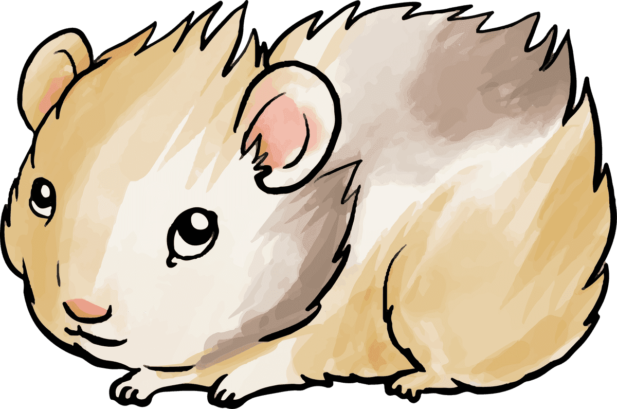 hamster variety different pets featuring playful and charming illustrations for animal lovers