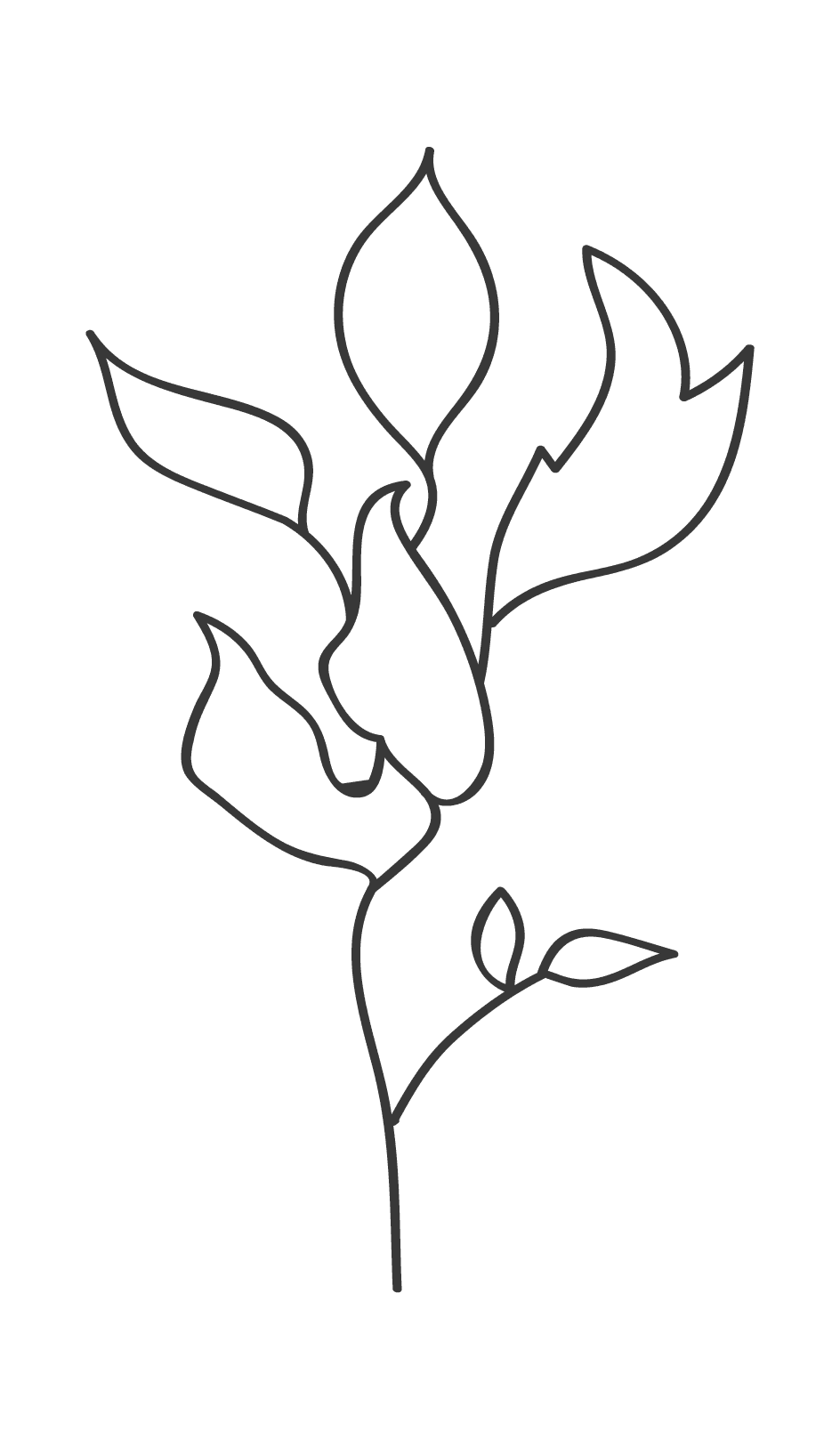 hand drawn branching nature elements botanical illustrations for invitations