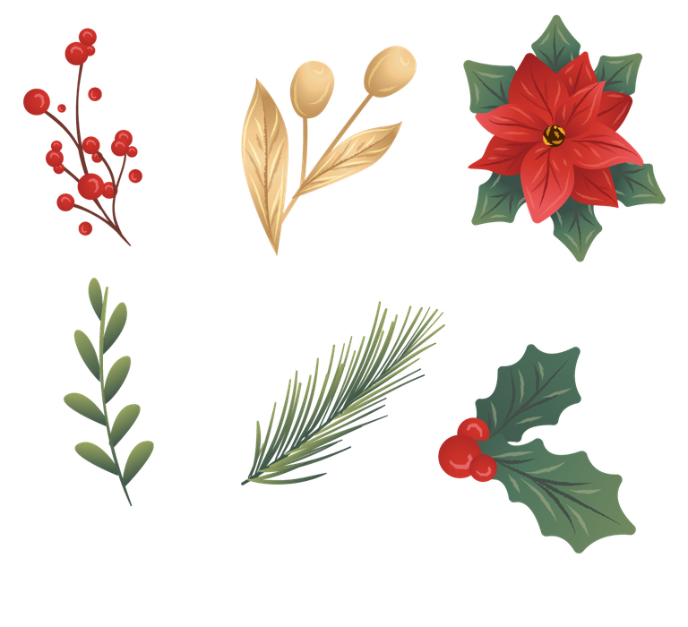 hand drawn christmas decoration elements featuring festive flora for seasonal crafts