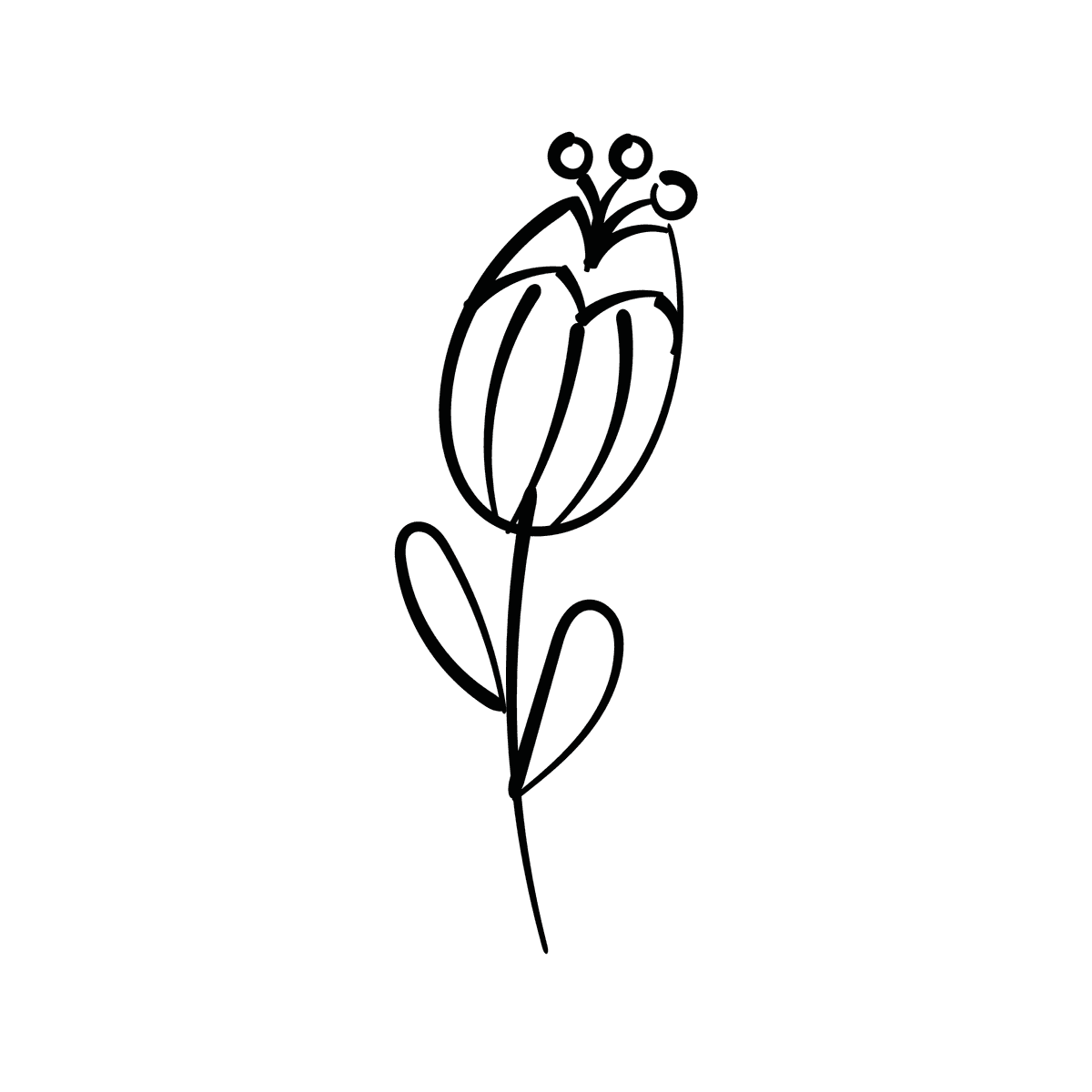 elegant floral line art illustration with delicate botanical elements in a minimalistic black outline