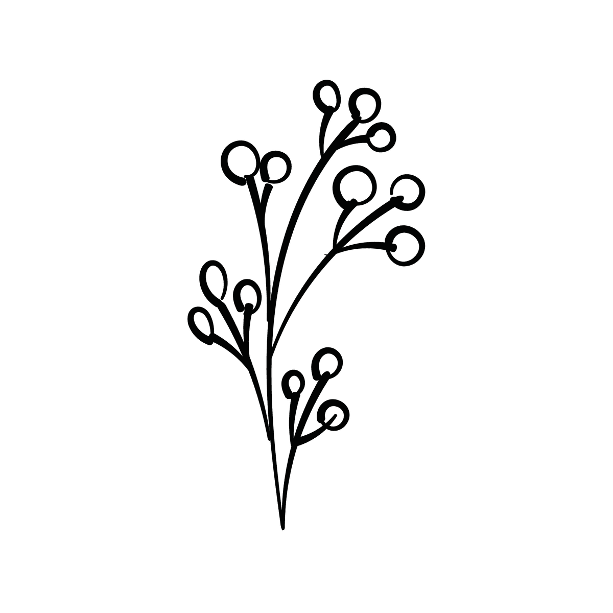 elegant floral line art illustration with delicate botanical elements in a minimalistic black outline