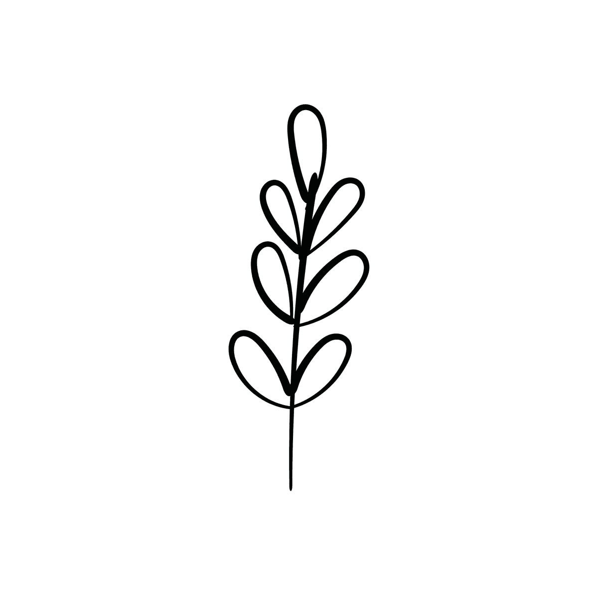 elegant floral line art illustration with delicate botanical elements in a minimalistic black outline