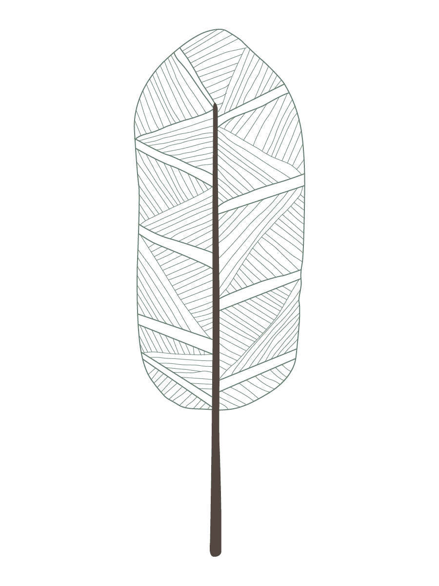 hand drawn minimalist tree silhouette illustration