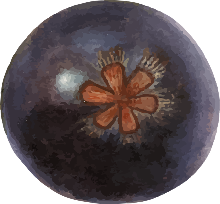 hand drawn natural fresh mangosteen icon