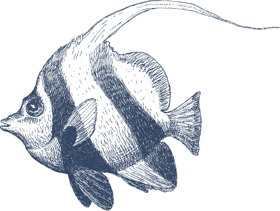 hand drawn nautical objects vector with intricate fish illustrations for maritime themes