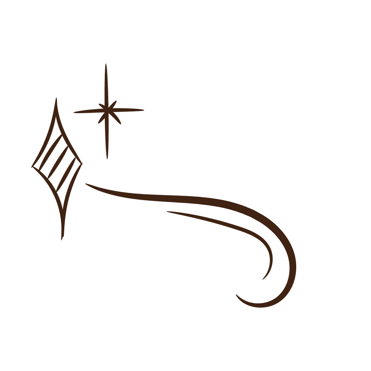 elegant line art flourish sparkle for sophisticated branding