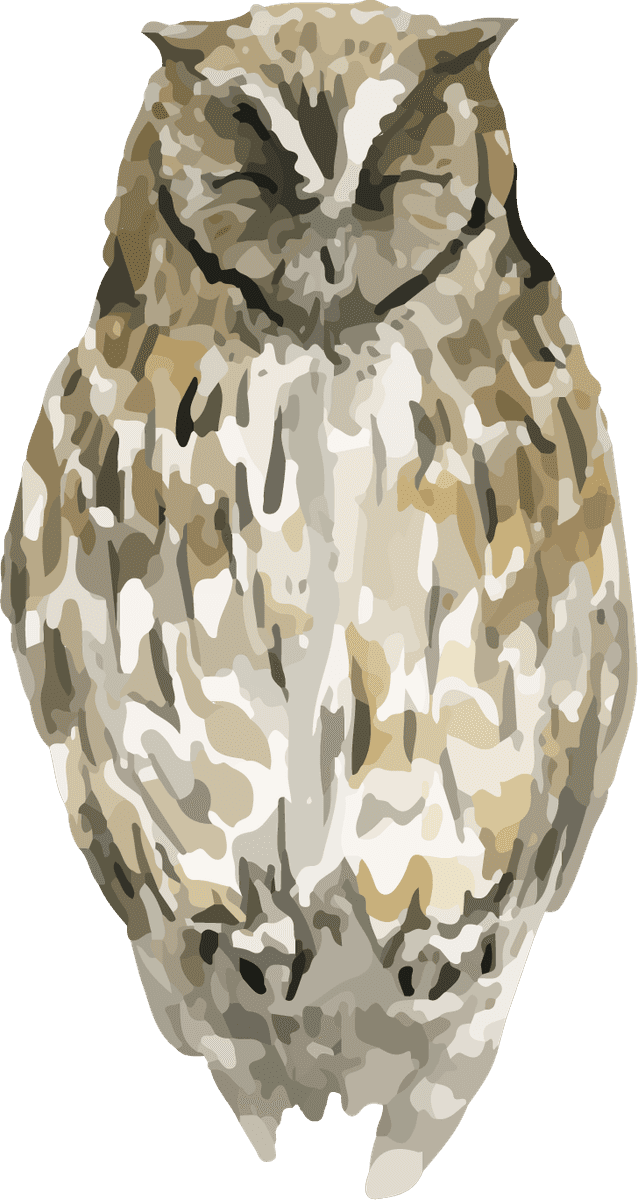 hand drawn wildlife set watercolor style