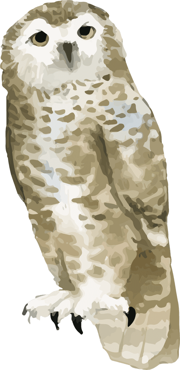 hand drawn wildlife set watercolor style