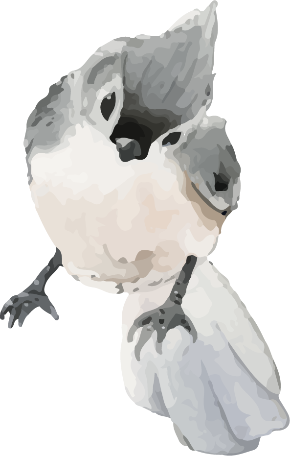 hand drawn wildlife set watercolor style