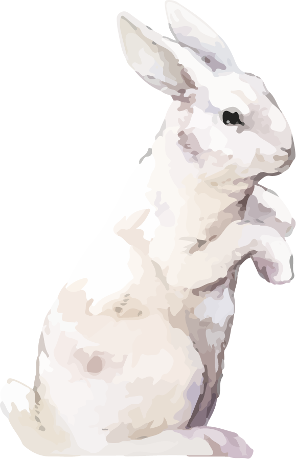 hand drawn wildlife set watercolor style