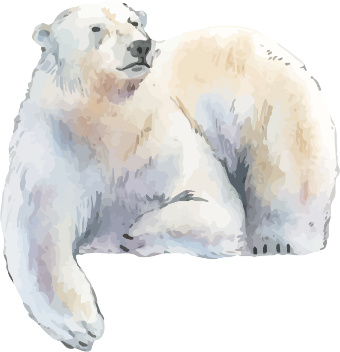 hand drawn wildlife set watercolor style