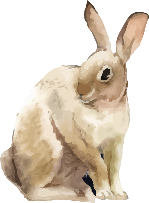 hand drawn wildlife set watercolor style