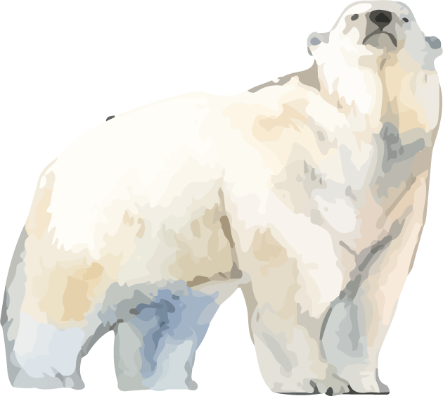 hand drawn wildlife set watercolor style