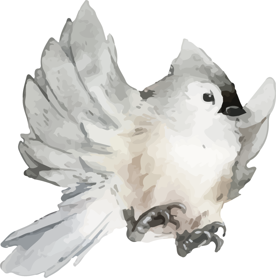 hand drawn wildlife set watercolor style