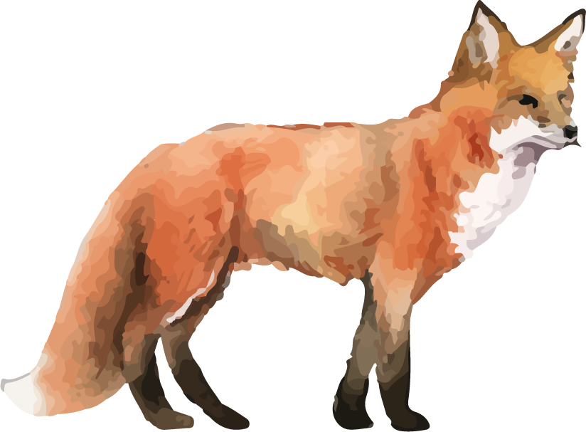 hand drawn wildlife set watercolor style