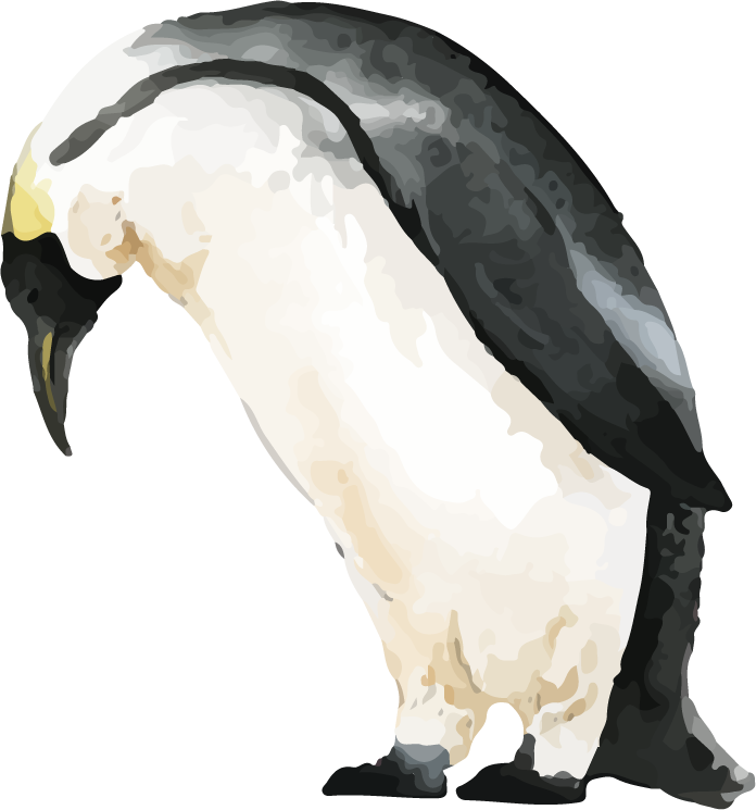 hand drawn wildlife set watercolor style